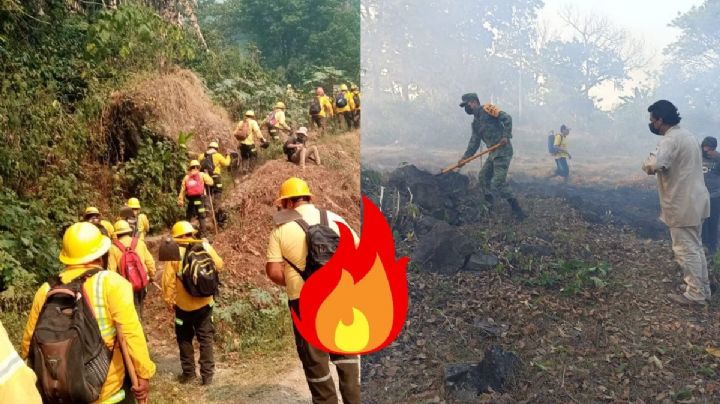 Aumentan incendios forestales en Veracruz: PC confirma 23 activos