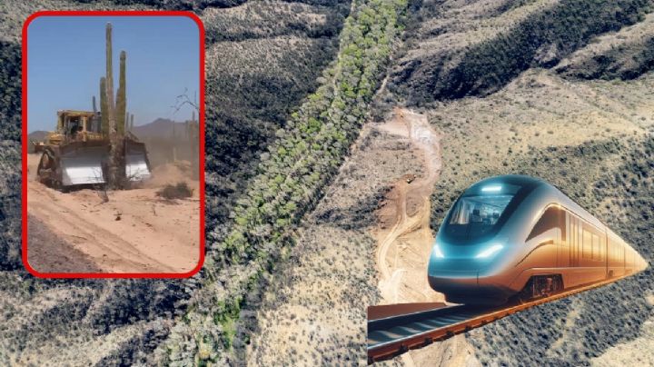 "Tren Maya" de Sonora: el ecocidio que se ha politizado
