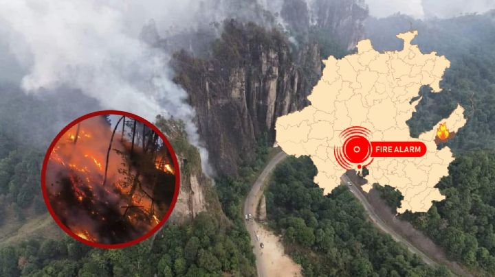 Incendio en Tenango de Doria controlado en un 50 por ciento, reportan autoridades | FOTOS