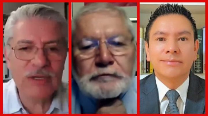 "Inflan" INE y Segob cálculo de diputados del Verde y PT, alertan expertos