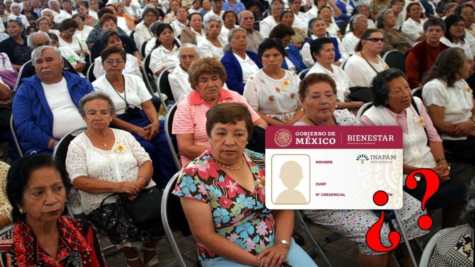 En la actualidad, existen 9 modelos de tarjeta INAPAM para que los adultos mayores puedan acceder a distintos descuentos.