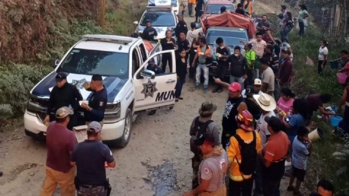 Controlan incendios forestales en Tenango al 60% con apoyo masivo de voluntarios y autoridades