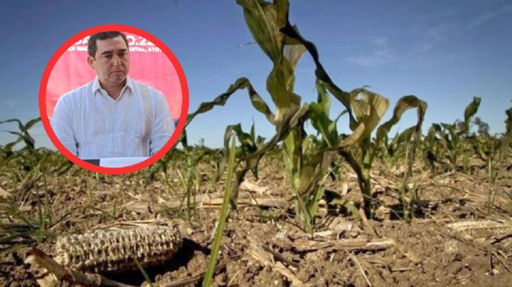 Sequía impacta producción de alimentos en Hidalgo: Agricultura