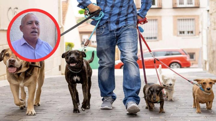 Secuestro y robo de mascotas son una realidad en Hidalgo, buscan castigarlo con cárcel