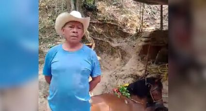 Muere caballo que ayudó en incendio forestal de Tuxpanguillo, Veracruz