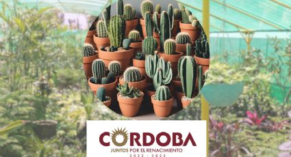 En Córdoba impartirán taller de reproducción de cactáceas a comerciantes y agricultores