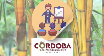 Inicia taller en Córdoba para el aprovechamiento en artesanías y propagación del bambú
