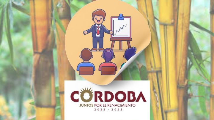 Inicia taller en Córdoba para el aprovechamiento en artesanías y propagación del bambú