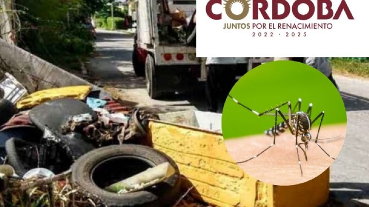 Concluye en Córdoba la primera etapa de la campaña de descacharrización contra el dengue