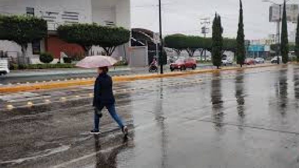 La Comisión Nacional del Agua (Conagua) indicó que por el momento monitorea el avance del huracán Beryl sobre el Mar Caribe, así como las dos bajas presiones con potencial ciclónico en los océanos Atlántico y Pacífico. 