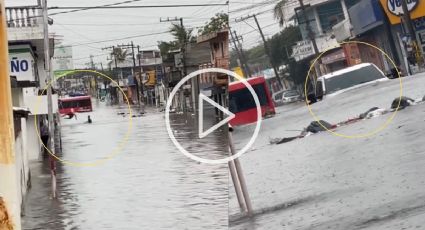 Inundaciones en Veracruz: Jarochos nadando, autos que flotan y los videos más impactantes