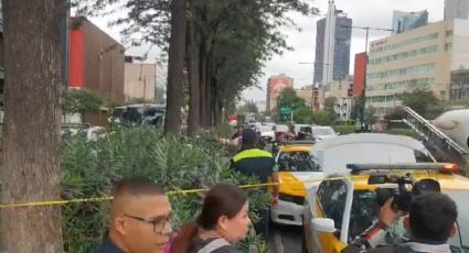 Encuentran cuerpo sin vida en jardinera de Chapultepec, presenta marcas de violencia