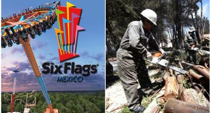 Six Flags: Vecinos de Tlalpan denuncian ecocidio para poner nueva montaña rusa