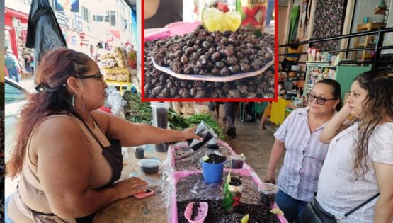 Nucú: el “caviar chiapaneco” que siembra terror en Tamaulipas y cuesta 1,500 pesos el kilo