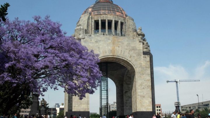 Monumento a la Revolución: todo lo que sabemos sobre caída de trabajador