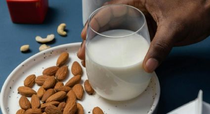 Leche que no es leche: Estas son las marcas más engañosas; tienen menos soya según Profeco