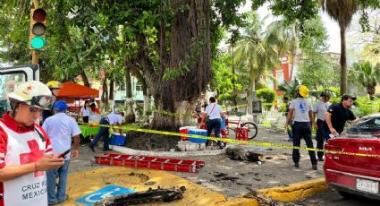 Cae rama gigante de un árbol en el Centro Histórico de Veracruz; este es saldo