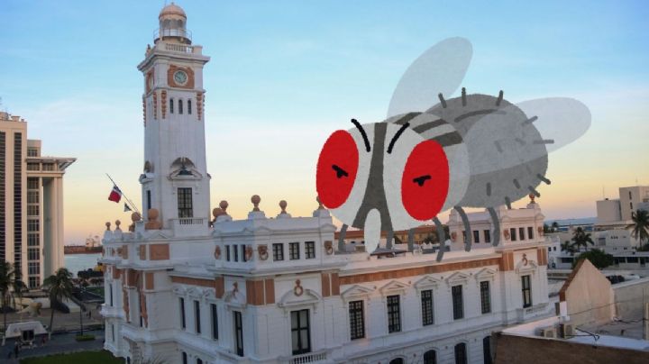 ¿Por qué hay tantas moscas en Veracruz?