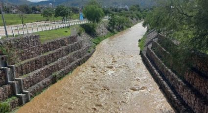 Así lleva agua el Arroyo de la Sardaneta a la Presa del Palote