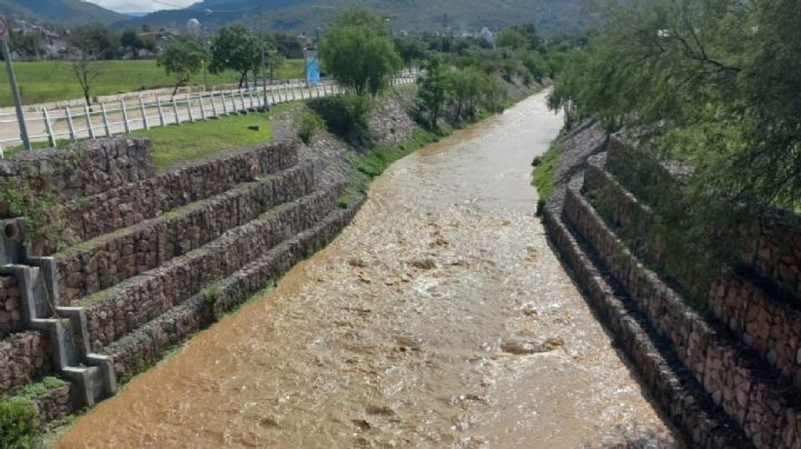Así lleva agua el Arroyo de la Sardaneta a la Presa del Palote