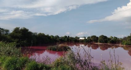 ¡Qué Extraño!: Una presa de San Pancho amaneció con el agua rosa