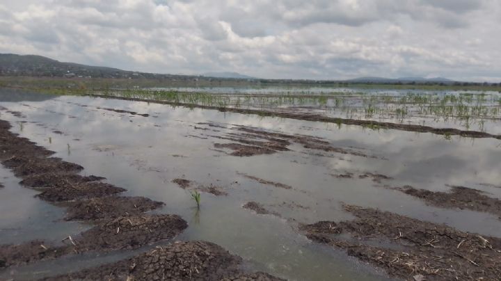 Laguna de Zumpango: este es el plan para su rescate