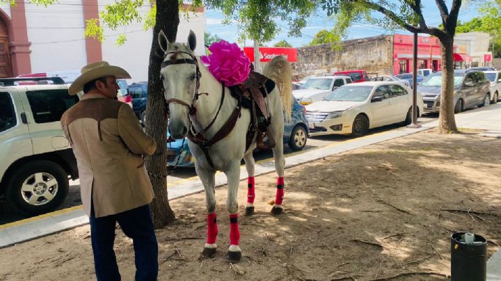 Papá llega con un caballo a la graduación de su hija y se vuelve viral | VIDEO