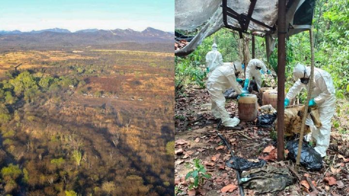 Contaminación por narcolaboratorios tardará hasta 20 años en limpiarse