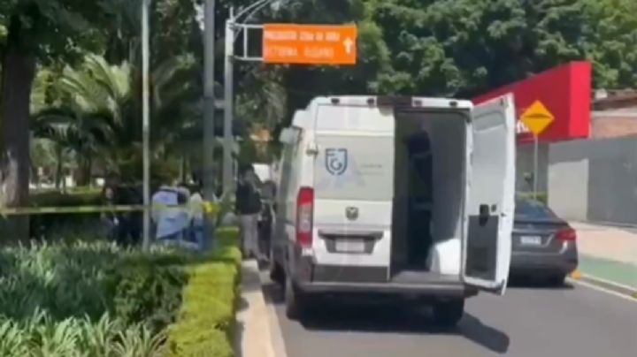 Muerto en Paseo de la Reforma, en la Cuauhtémoc y frente a la Torre Mayor