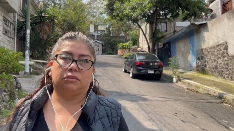 'Nadie de Six Flags nos buscó para consulta sobre poda de 151 árboles': vecinos de Tlalpan