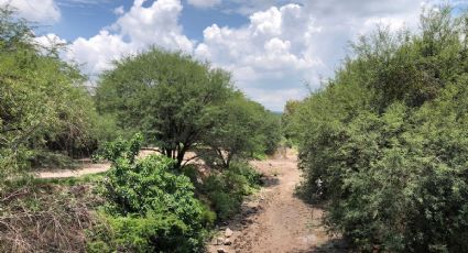 Dejan sin agua al río de La Patiña, la retienen antes de llegar a la Presa del Palote