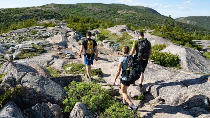 Go Adventure Benefits, llega a Hidalgo la app para hacer amigos viajeros nacionales