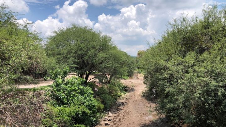 Dejan sin agua al río de La Patiña, la retienen antes de llegar a la Presa del Palote