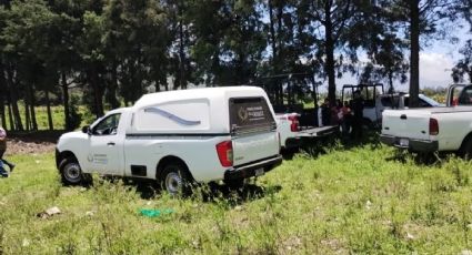 Trabajadores encuentran cráneo y huesos en terreno de Aquila