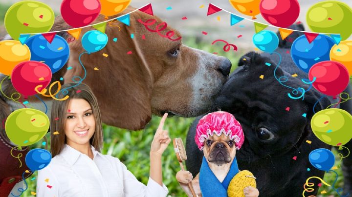 Así será el Can Fest 2024 CDMX: Vacunas, esterilizaciones, consultas y estética