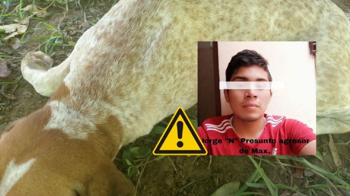 Piden justicia para Max: perro asesinado de un balazo en la zona rural de Minatitlán