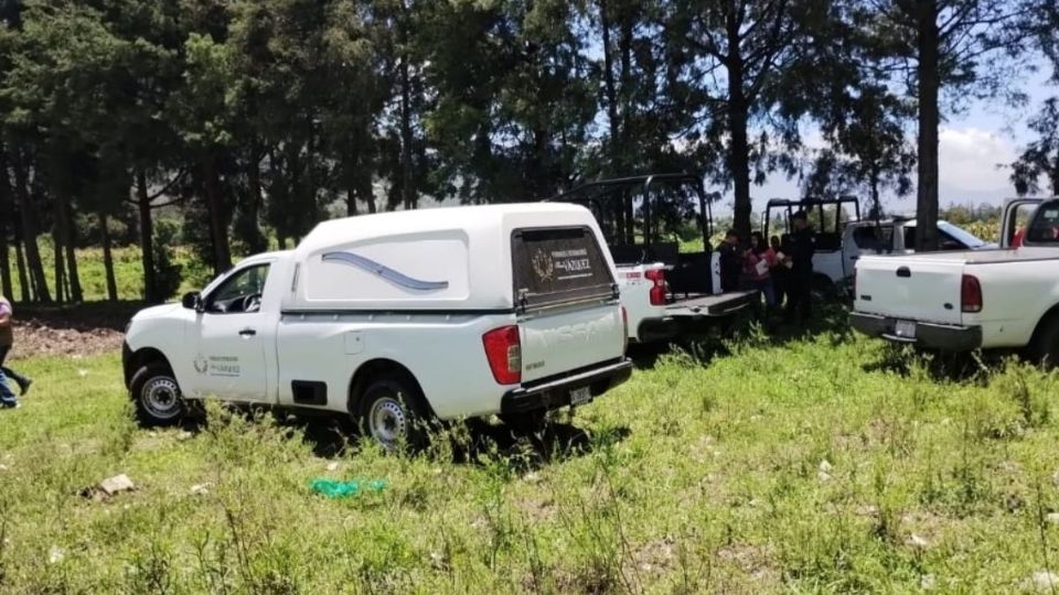 Trabajadores encuentran cráneo y huesos en terreno de Aquila