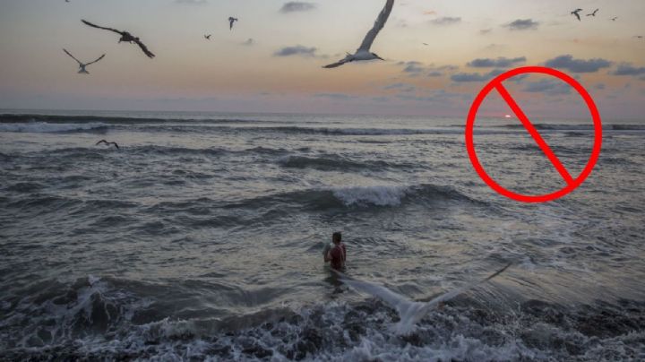 ¿Por qué Veracruz destacó con playas más sucias del país? Esto dijeron autoridades por reporte