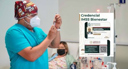 IMSS Bienestar Veracruz: Así puedes obtener seguro social gratuito