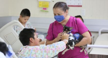 Infancias del Hospital Pediátrico de Coyoacán reciben terapia asistida con lomitos