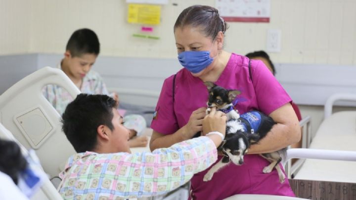 Infancias del Hospital Pediátrico de Coyoacán reciben terapia asistida con lomitos