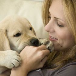 DÍa Mundial del Perro: una fecha para reflexionar sobre el cuidado de nuestras mascotas
