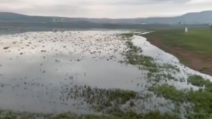 Se recupera la presa El Palote tras 2 días de lluvia en León