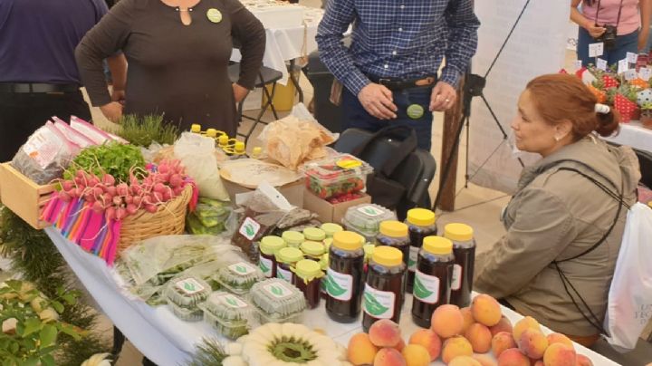 Enseñan a jóvenes hidalguenses sobre emprendimientos agroalimentarios