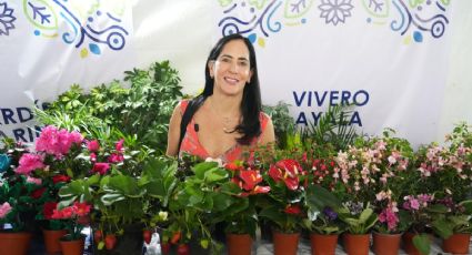 Termina Feria de las Flores en Álvaro Obregón con derrama de 16 millones de pesos