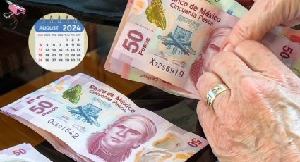 A estos pensionados les devolverán dinero en agosto próximo