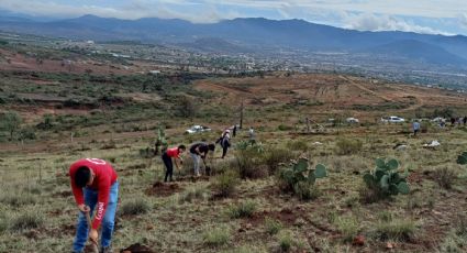 Ecopil busca voluntarios para crear jardín de polinizadores en barranca de Tlapacoya