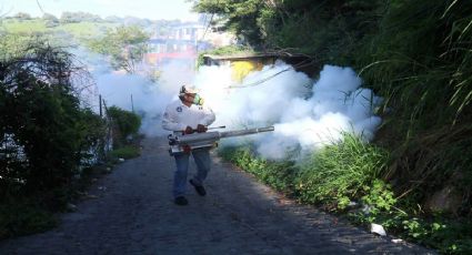 Dengue en Jalisco enciende alerta, casi 1,000 casos informa la Secretaría de Salud