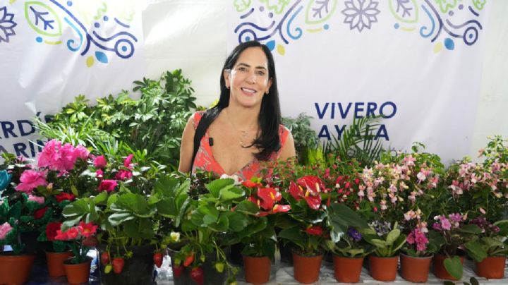 Termina Feria de las Flores en Álvaro Obregón con derrama de 16 millones de pesos