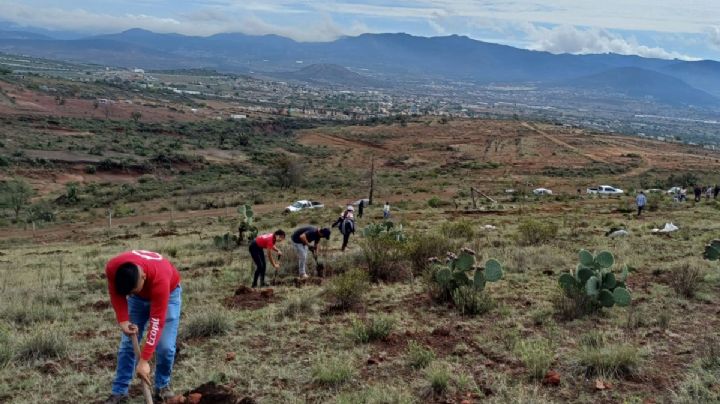 Ecopil busca voluntarios para crear jardín de polinizadores en barranca de Tlapacoya
